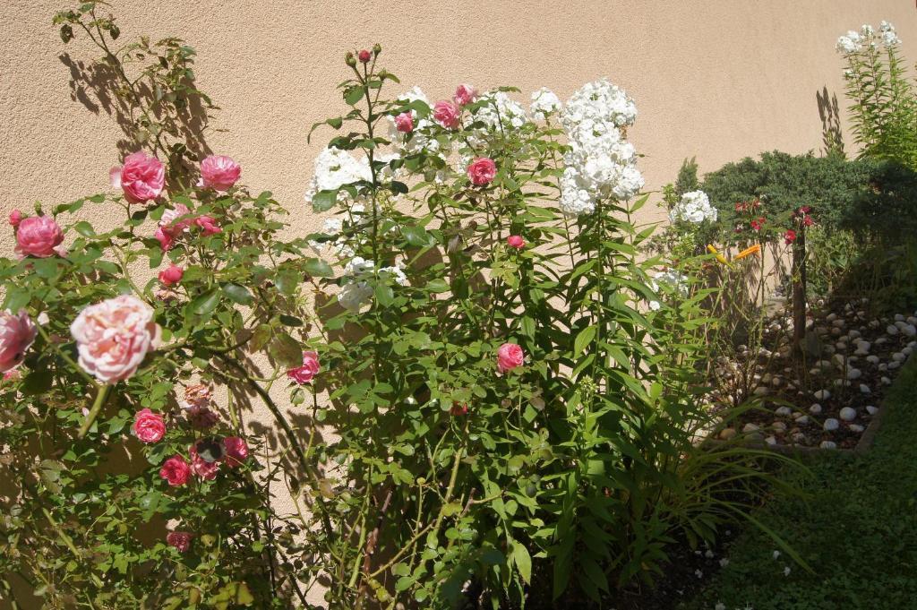 Haus Josef Bed & Breakfast Mayrhofen Bagian luar foto