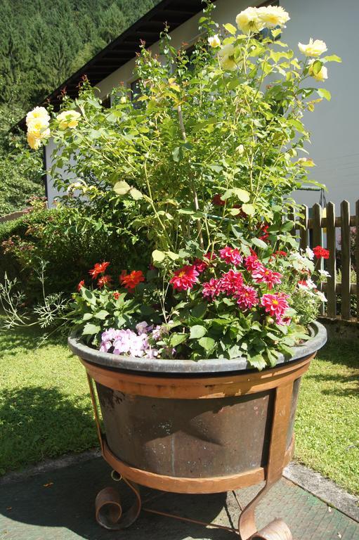 Haus Josef Bed & Breakfast Mayrhofen Bagian luar foto